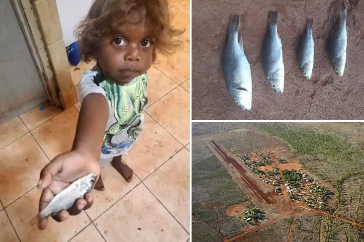 Fenomena Hujan Ikan...