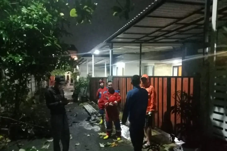Pohon Kurma Tumbang...