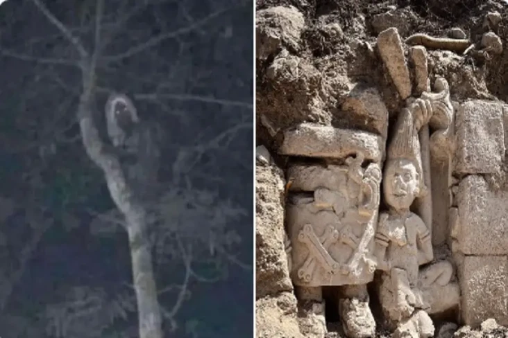 Viral, Foto Makhluk...