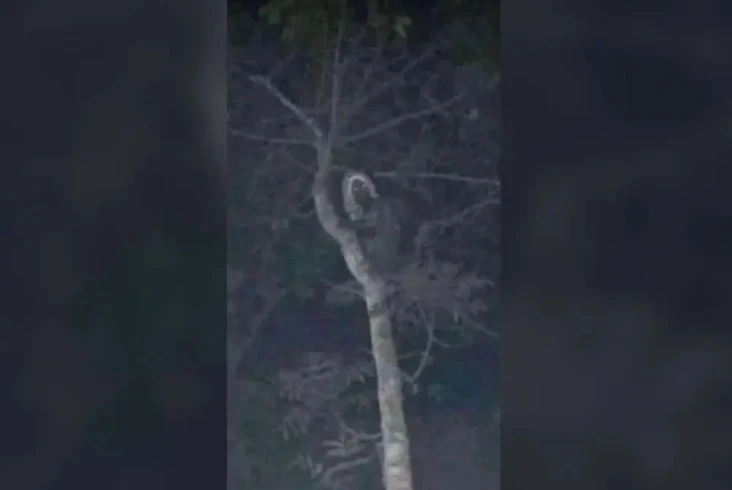 Kunjungi Kampung Suku...