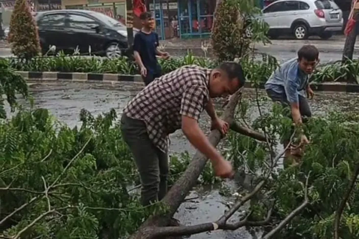 Hujan Angin, Pohon Tumbang...
