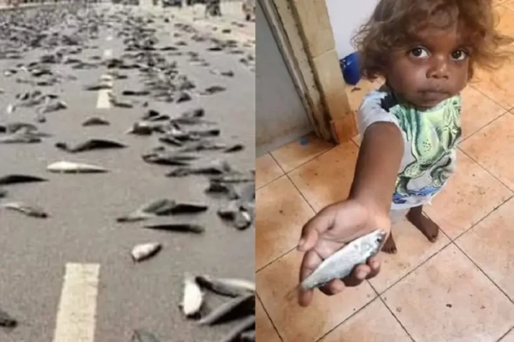Aneh tapi Nyata, Hujan...