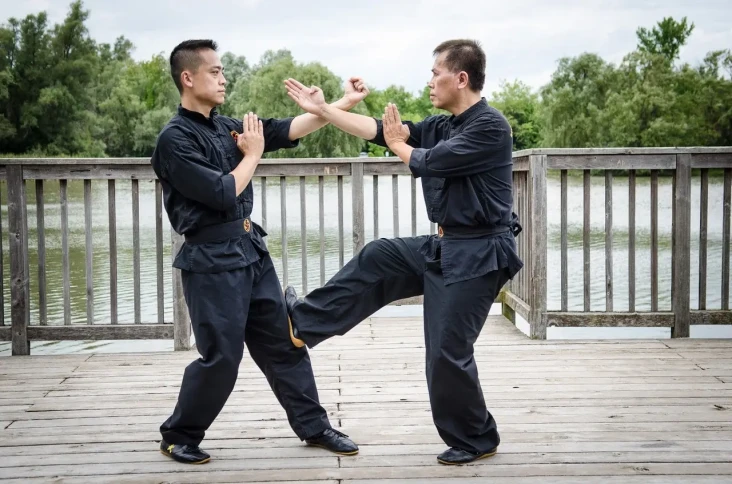 Wing Chun, Seni Bela...