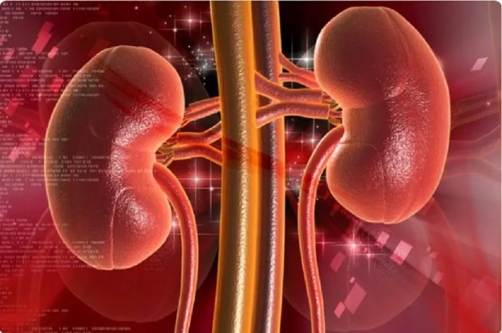 Mengenal Penyakit Hematuria...