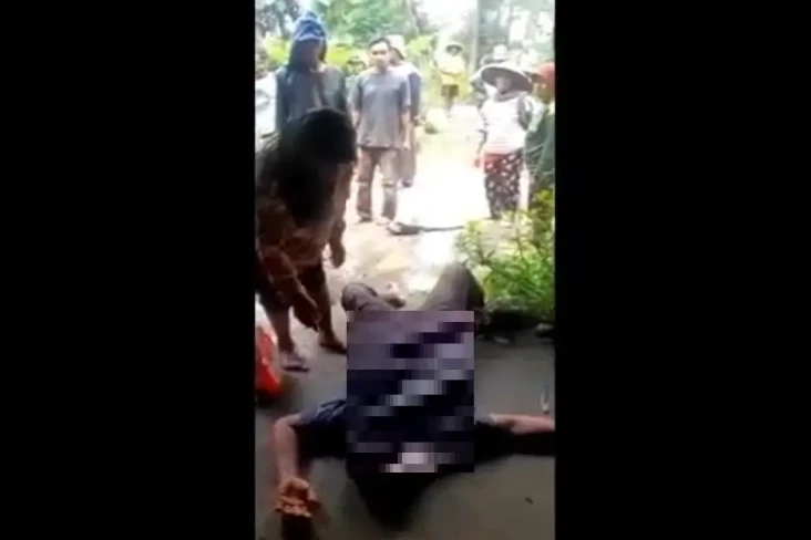 Ngeri! Serangan Tawon...