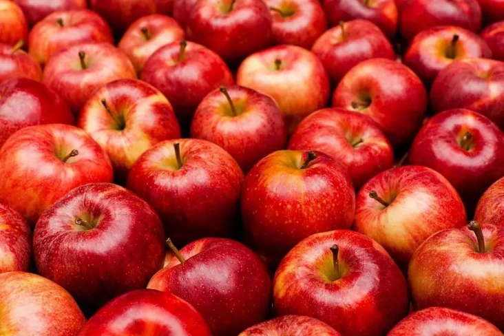 Studi: Buah dan Sayuran...