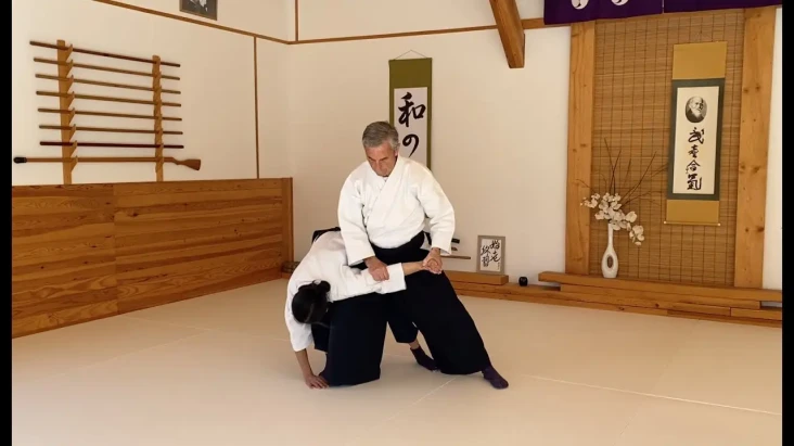 3 Perbedaan Aikido dan...
