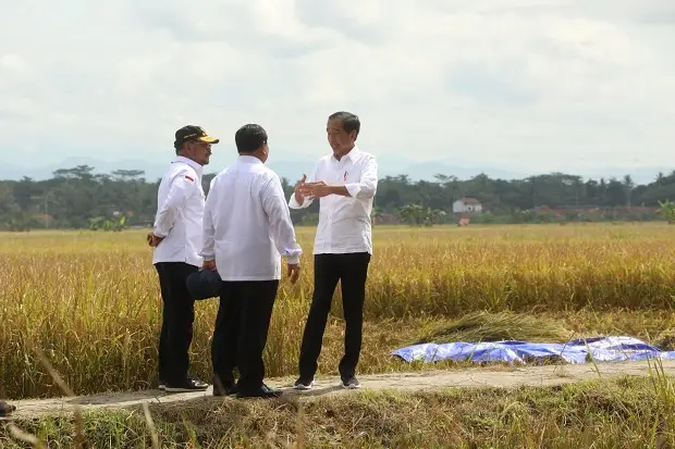Saat Presiden Jokowi...
