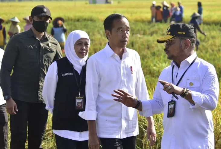 Panen Raya di Ngawi,...