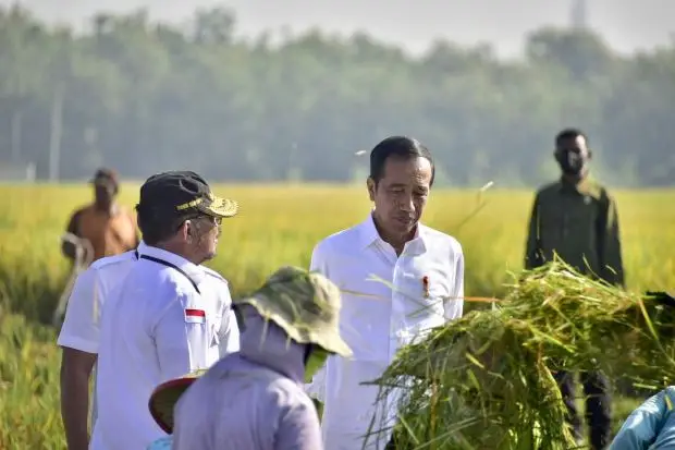 Di Ngawi, Presiden Jokowi...