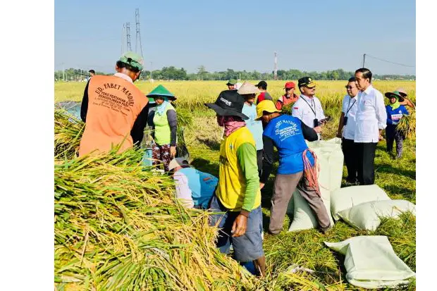 Panen Raya Ngawi, Presiden...