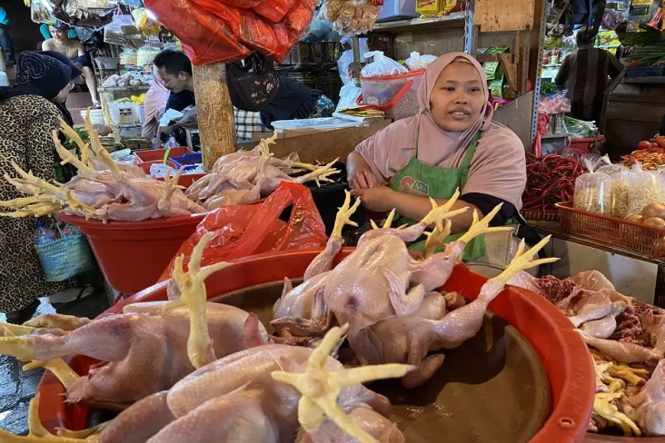 Siap-siap Bunda, Harga...