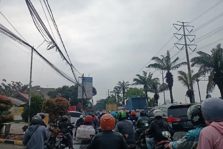 Usai Diguyur Hujan,...