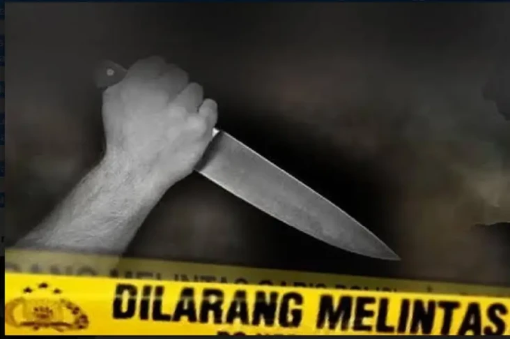 Pemuda ODGJ di OKU Tikam...