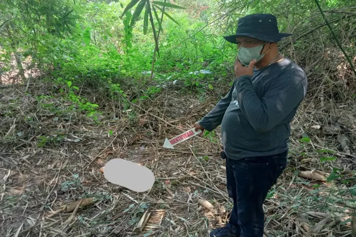 Sedang Dimakan Biawak,...