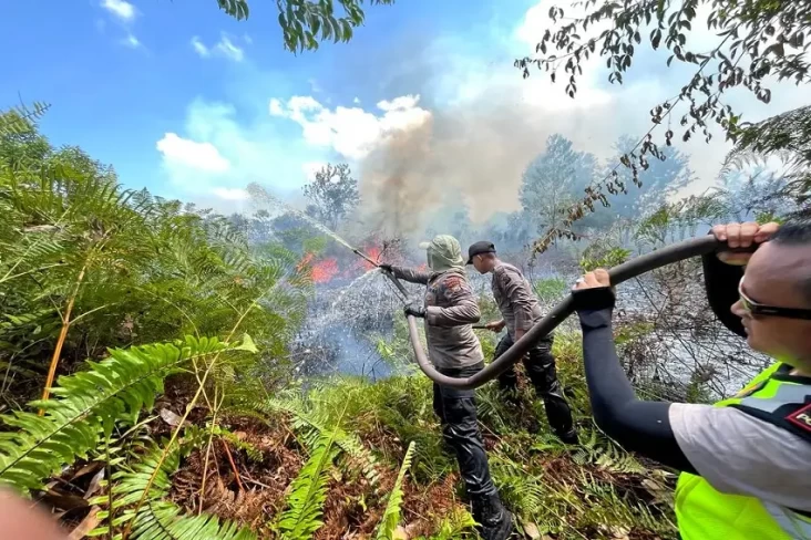 Kebakaran Hutan Melanda...