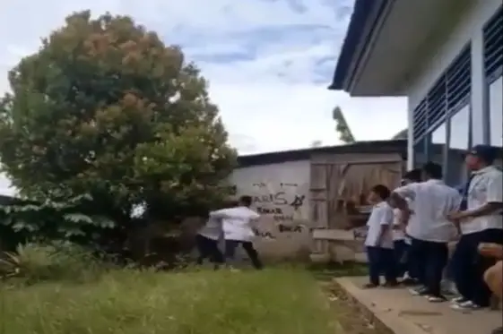 Viral! Video Adu Jotos...