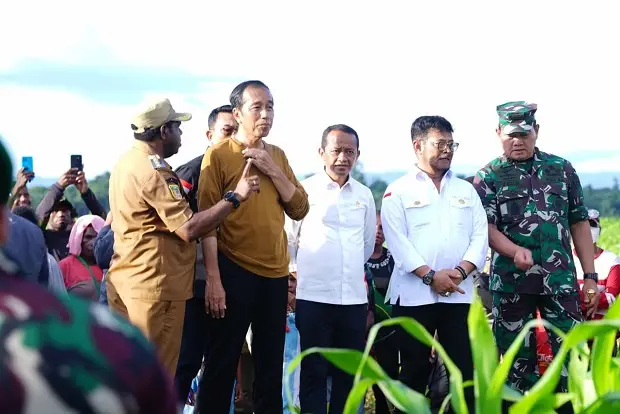 Optimalkan Lahan Tidur,...