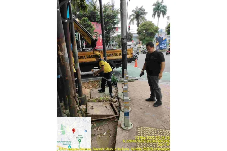 Buntut Pohon Tumbang,...