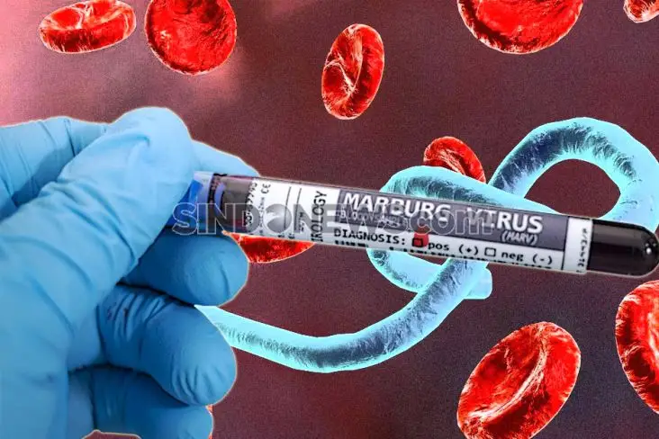 11 Gejala Penyakit Virus...