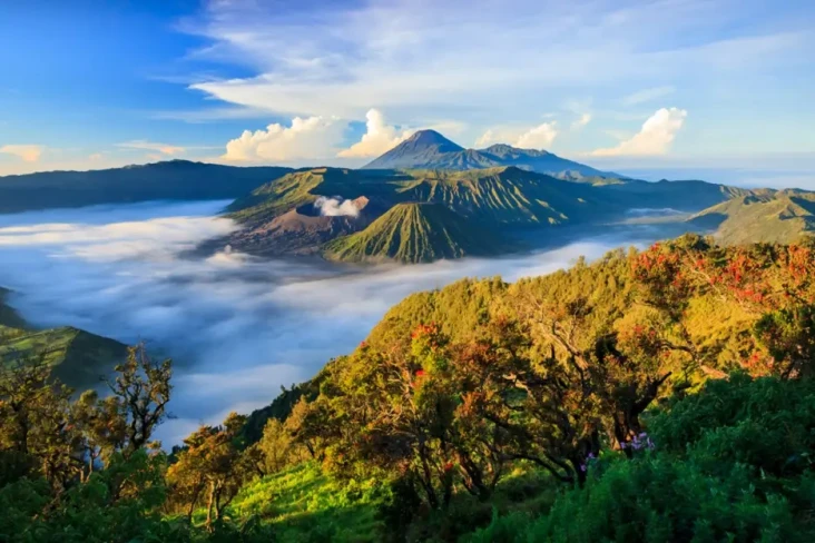 Besok Terakhir, Buruan...