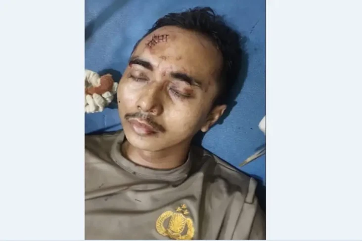 Dilempar Balok Kayu...