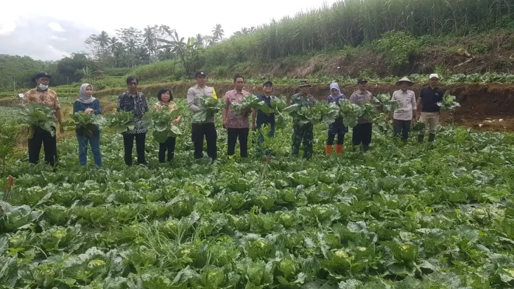 Dukung Konsep Edu Agrowisata,...
