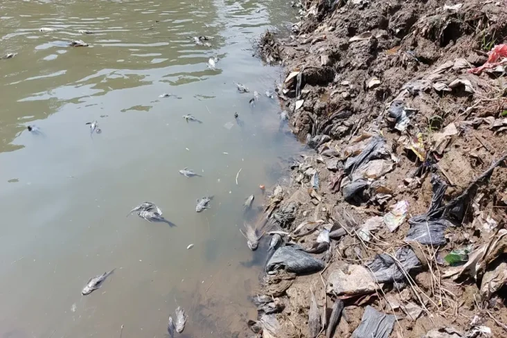 Sungai Cileungsi Bogor...