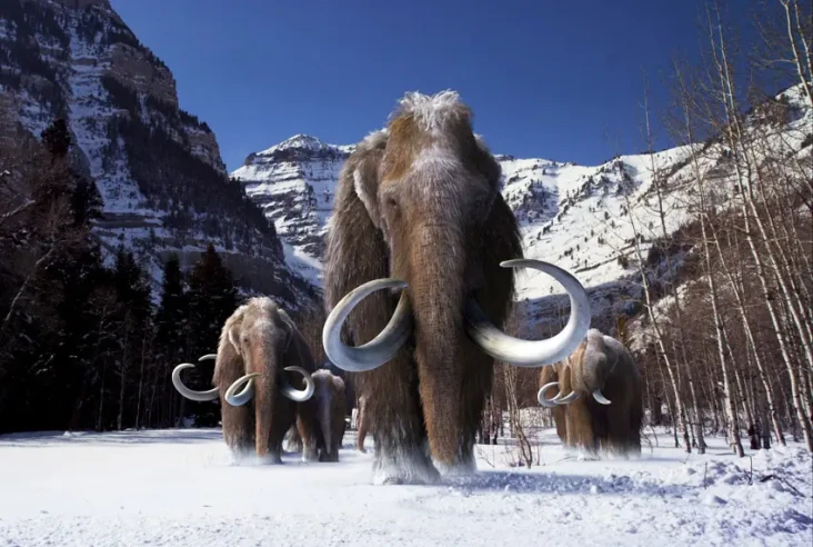 23 Spesies Woolly Mammoth...