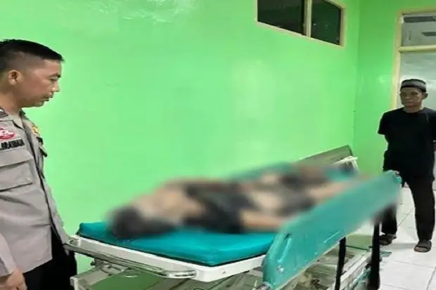 Pelaku Curanmor di Ogan...