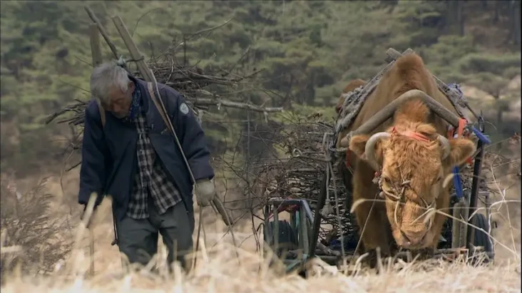 3 Film tentang Kesetiaan...