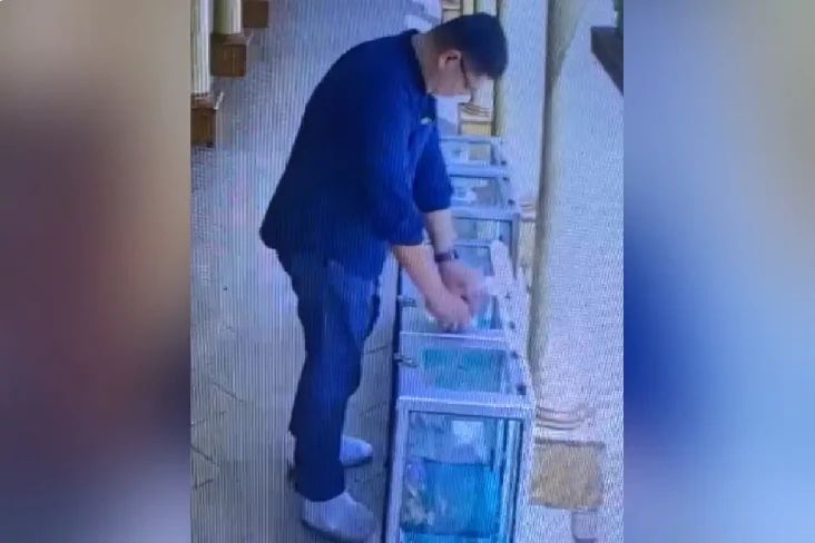 Heboh QRIS Palsu di...