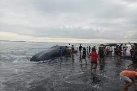 Isyarat Bencana dari...