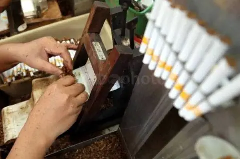 Disejajarkan dengan...