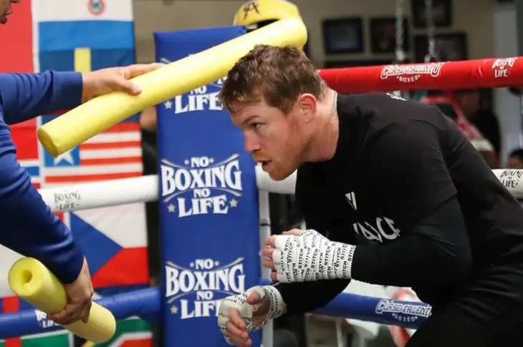 Canelo Berhasrat Balas...