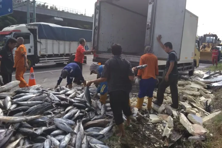 Truk Muatan Ikan Kecelakaan...