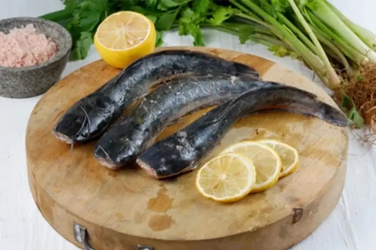 5 Manfaat Konsumsi Ikan...