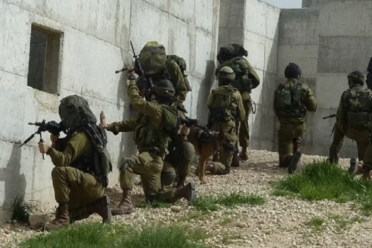 Profil Kfir Brigade,...