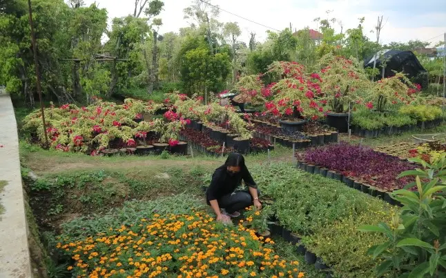 Tempat Wisata di Malang...