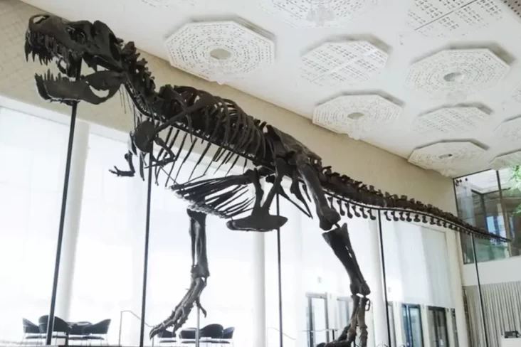 Kerangka T-Rex Berjuluk...