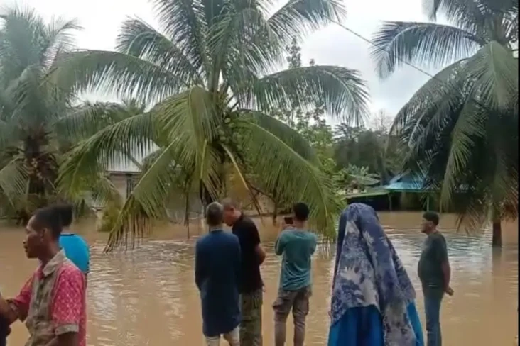 Banjir Setinggi Pohon...