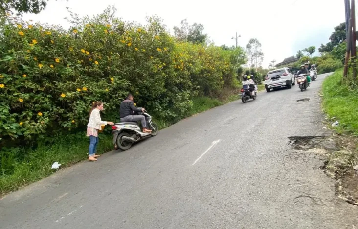 Tanjakan Naga, Jalur...