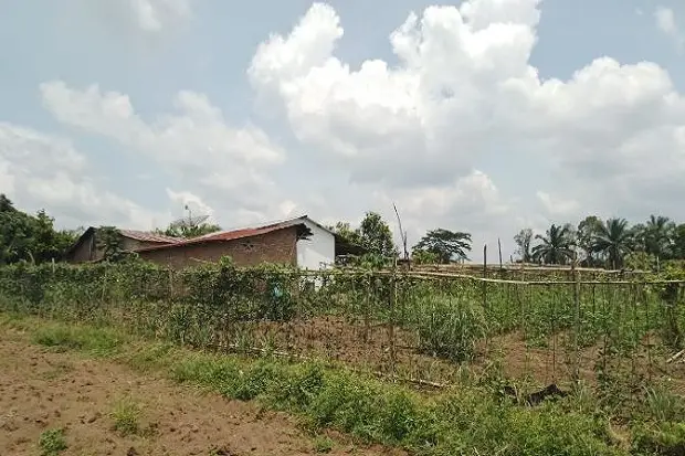 PTPN III Komitmen Menjaga...