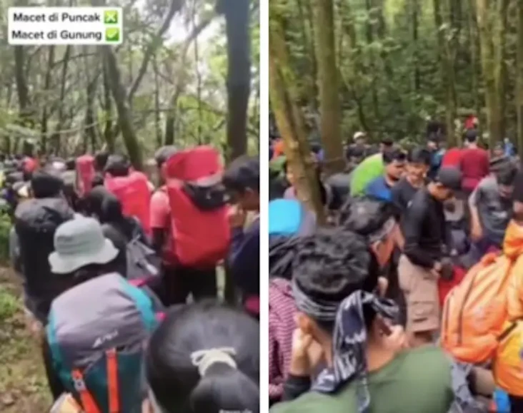 Viral! Jalur Pendakian...