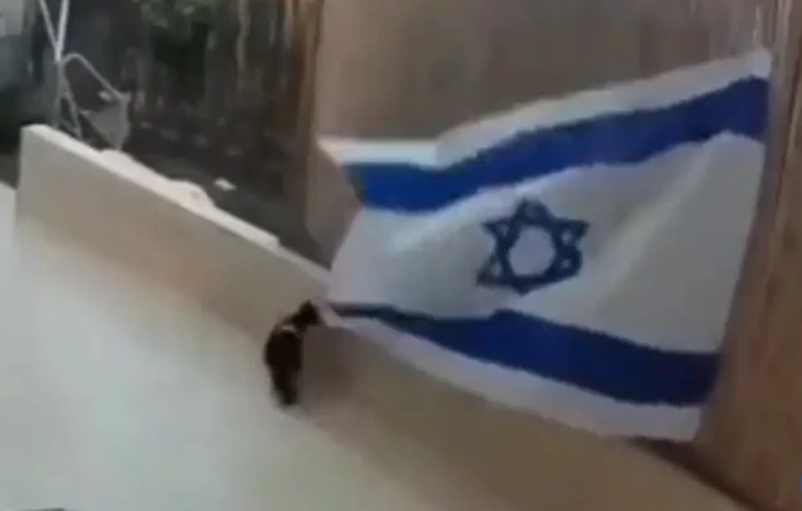 Viral! Video Kucing...