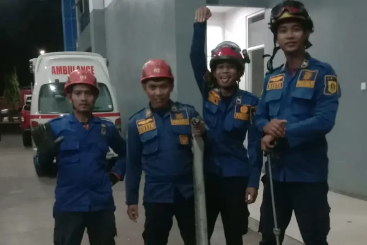 Merinding! Ular King...