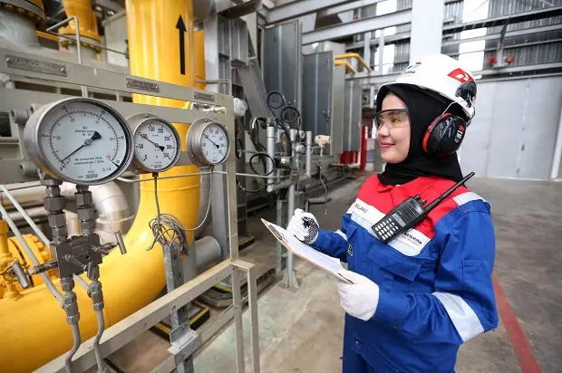 PGN Subholding Gas Pertamina...