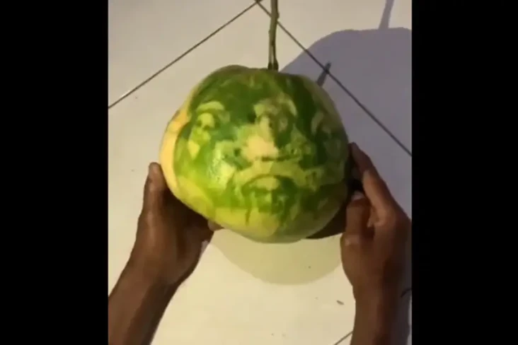 Jepara Geger! Ada Buah...