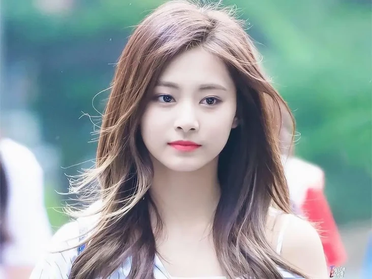 Profil Tzuyu, Idol K-Pop...