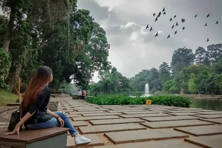6 Kebun Raya di Indonesia...